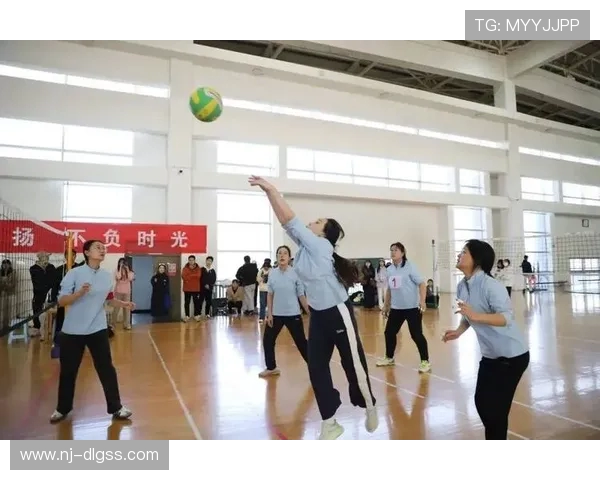 南京排球队意识变革引发热议推动排球运动新发展