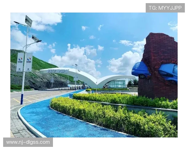 武汉排球队的转型之路探索与创新的全新篇章