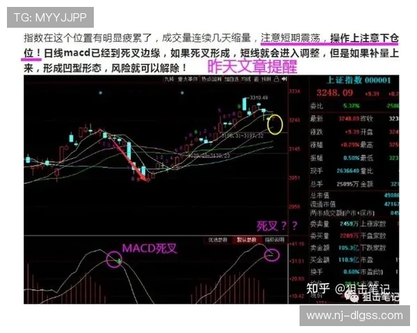 重庆羽毛球队与杭州羽毛球队赛后复盘分析比赛节奏与战术对比